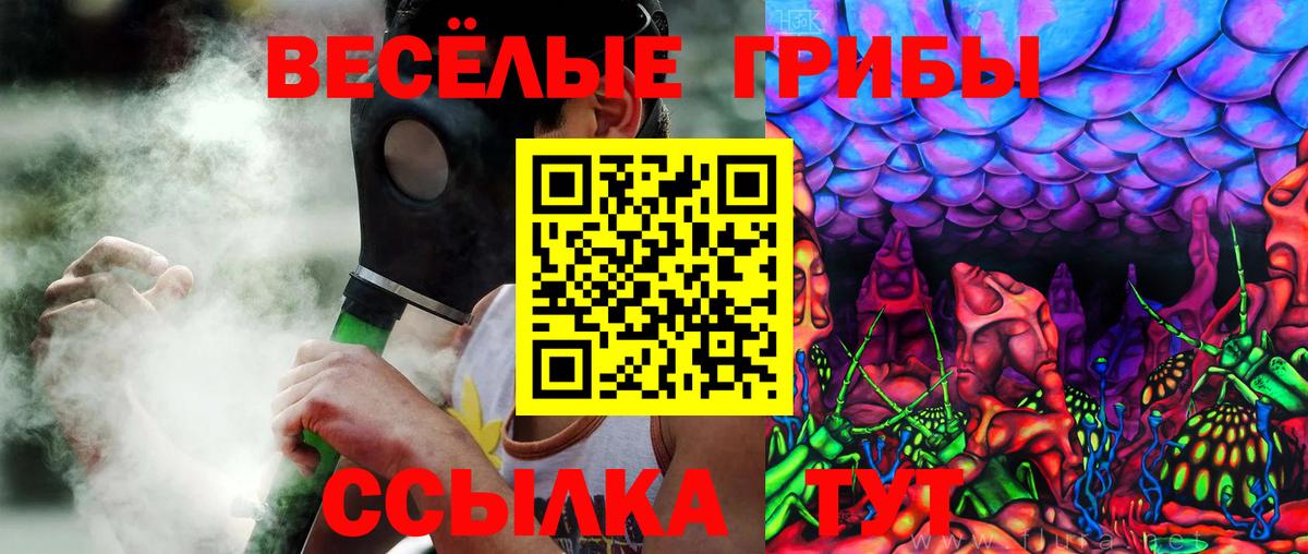 Псилоцибиновые грибы MAGIC MUSHROOMS  Псилоцибиновые грибы прущие грибы  Вход с VPN  Якутск 