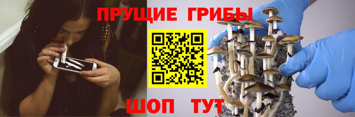 Галлюциногенные грибы ЛСД Якутск